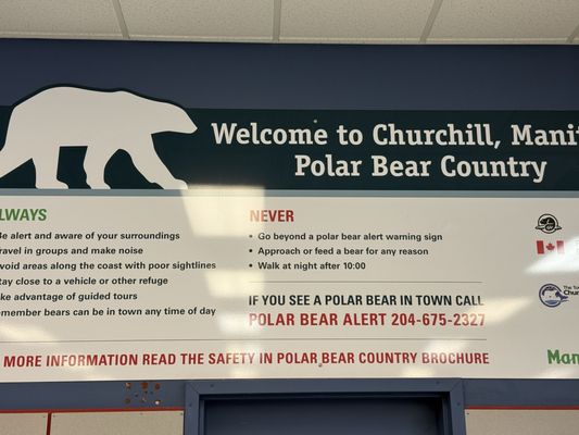 Lazy Bear Expeditions & Tours Churchill Canada by null