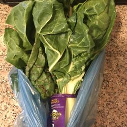 Cal-Organic Farms - Organic Rainbow Chard
