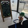 Photo of Livewell Animal Hospital of Elizabeth