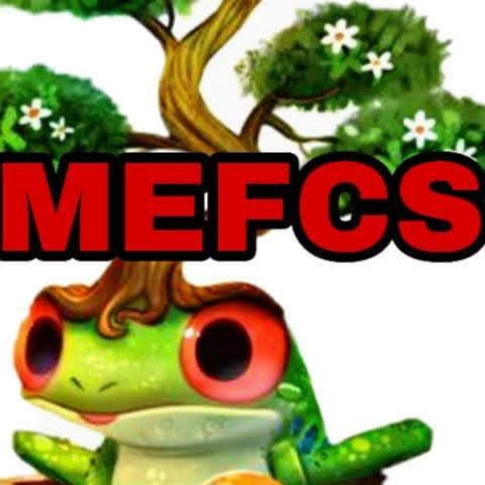 MEFCS Office Cleaning MO Phone Number Yelp