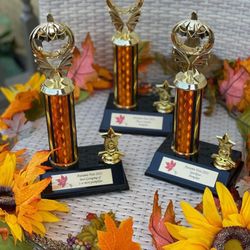 Image Awards, Engraving & Creative Keepsakes - Special Fall Event Trophies for the Small Business Winners for downtown Geneva family friendly community driven event.