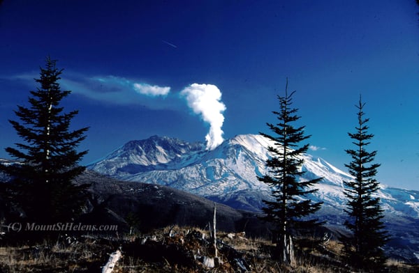 Chelatchie Prairie General Store