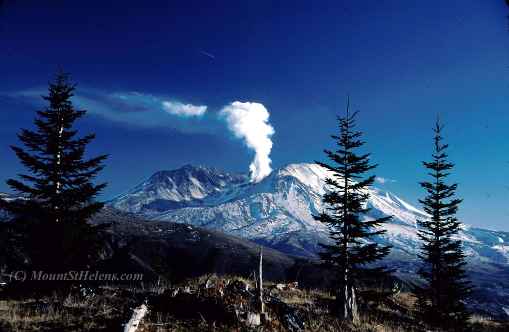Chelatchie Prairie General  Store Logo