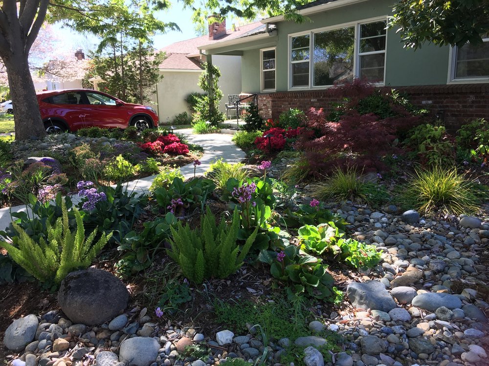 SMOOT LANDSCAPE SERVICE Updated August 2024 12 Reviews 3144 D St