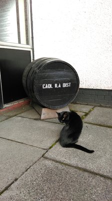 Caol Ila Distillery by null