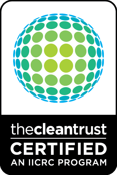 Slide of Damex Corporation