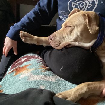 Empire Veterinary Clinic - Doing what he loves most - cuddling! - Veterinarians Near Me - Empire, California Empire Veterinary Clinic - Doing what he loves most - cuddling! - Veterinarians Near Me - Empire, California