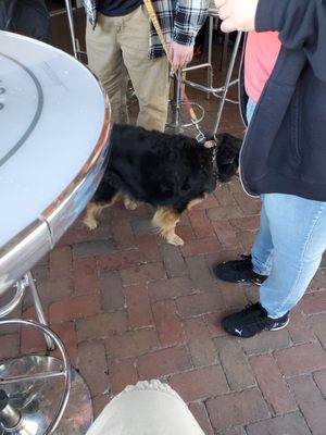 Chuck's Backyard by null