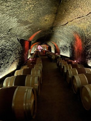 Del Dotto Historic Winery & Caves by null