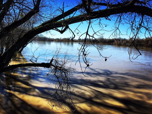 Tiscornia Park by null