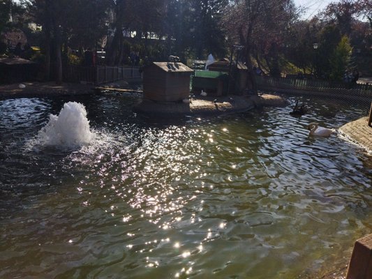 Kuğulu Park by null