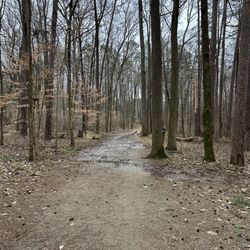 McAlpine Creek Park