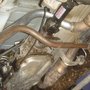 Photo of KB Transmissions