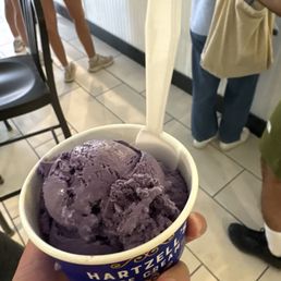 Ube Ice Cream Ube Ice Cream