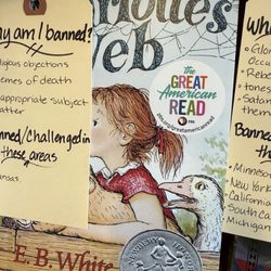 Pearl Street Books & Gifts