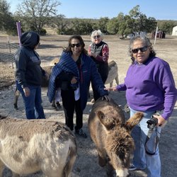 D & D Ranch - Meeting the mini donkeys!