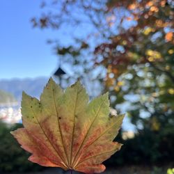 Deep Cove Park