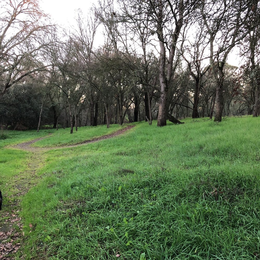 Creekside Nature Area - Hiking Near Me - Sacramento, California