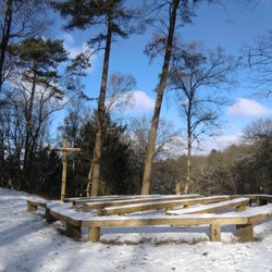 Harburger Berge - Oberhalb der Rodelbahn.