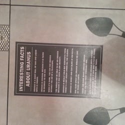 Jimmy John's - What a woman will be able to read when she is sitting or, if you're like me, hovering over the toilet seat.