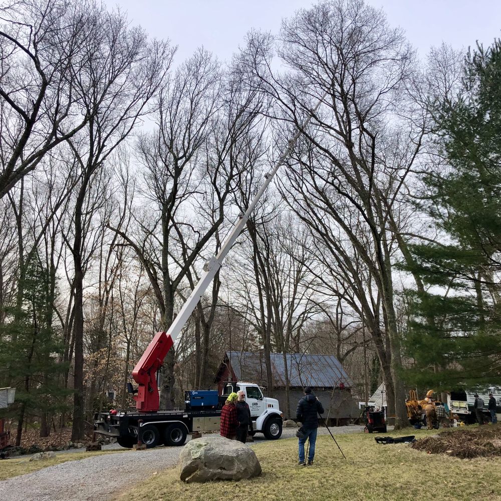 Middlesex Tree - Setting up. - Tree Services Near Me