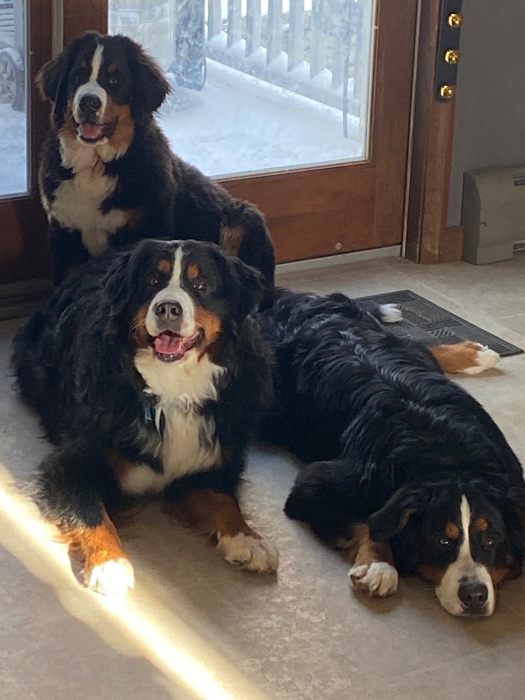 WARRENTON MILL ASSOCIATION Updated June 2024 839 Main St, Torrington, Connecticut, United