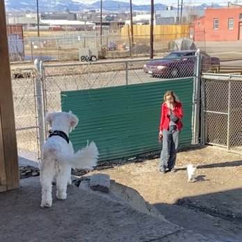 EarthDog Denver - Pet Sitting Near Me - Denver, Colorado