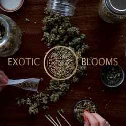 Exoticblooms - Good Vibes
