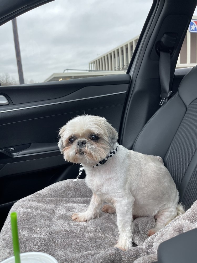 o Jupiter Florida Real Estate For Sale