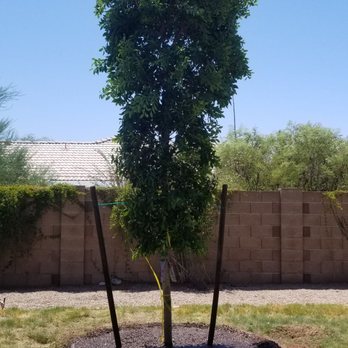 Moon Valley Nurseries - All done & gorgeous!! - Nurseries & Gardening Near Me - Mesa, Arizona