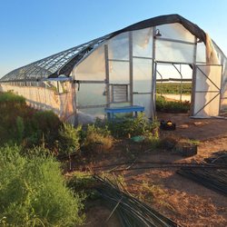 SkyGardens Flower Farm - Greenhouse.