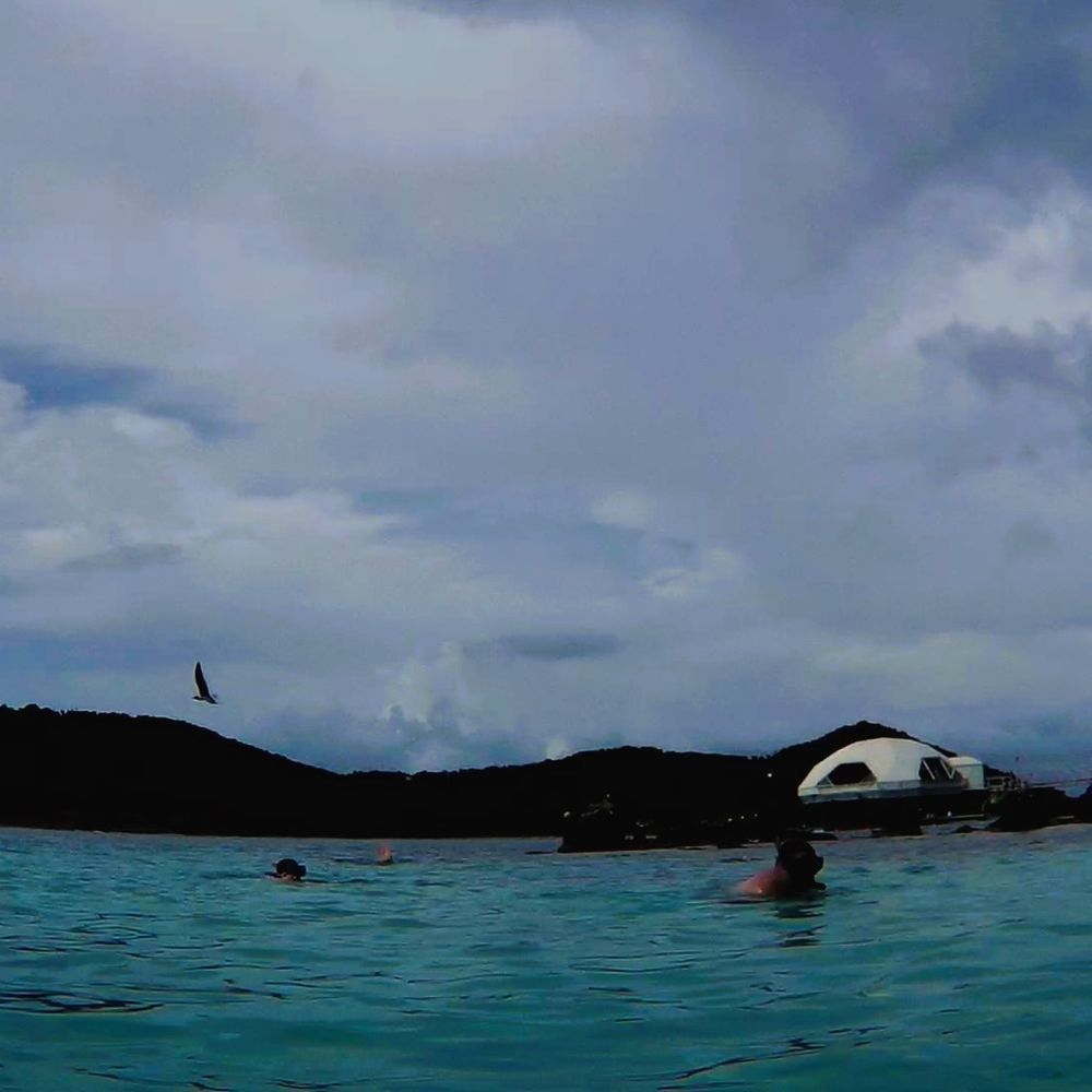 Coki Beach - Reef snorkel location - Beaches Near Me - St Thomas, Virgin Islands