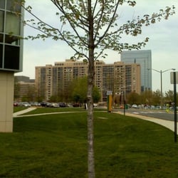 Northern Virginia Community College - Alexandria Campus