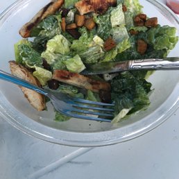 A delicious chicken Caesar salad A delicious chicken Caesar salad
