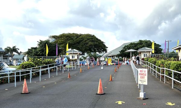 Maui Swap Meet by null