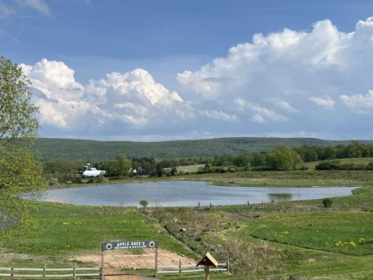 Apple Dave's Distillery by null