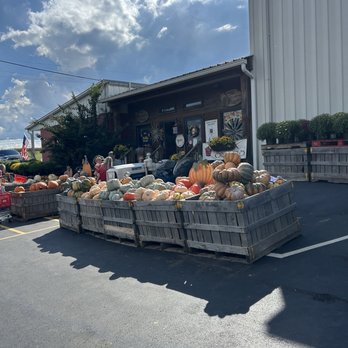 R & A Orchards - Fruits & Veggies Near Me - Ellijay, Georgia R & A Orchards - Fruits & Veggies Near Me - Ellijay, Georgia