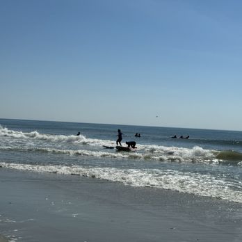 Avalon Surf Camp - Surf Schools Near Me - Avalon, New Jersey