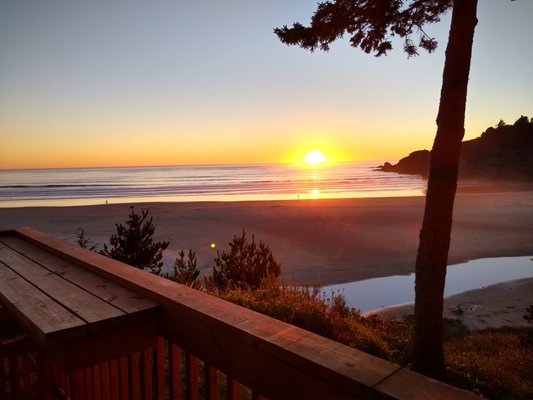 Starfish Point by null