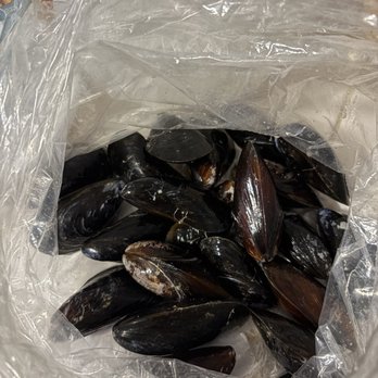 Gulf Coast Seafood - Seafood Markets Near Me - Gulfport, Florida
