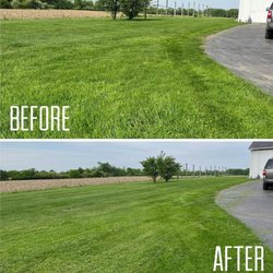 T&K Landscaping - if your anything like this client and have a busy life and needs some help give us a call.