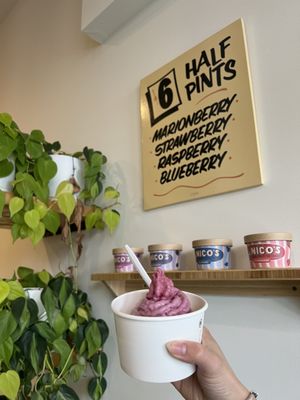 Nico's Ice Cream by null