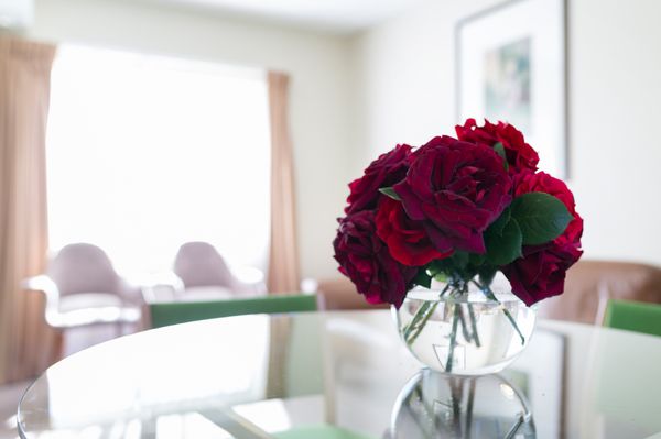 Forrest Hotel and Apartments by null