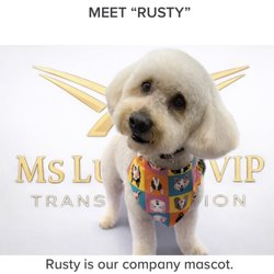 MS Luxury VIP Transportation - Meet our Company mascot RUSTY