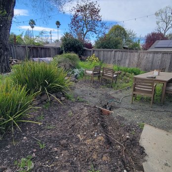 Crest Landscape - The "before" photo of our backyard. Yuck... - Landscaping Near Me - Pleasanton, California Crest Landscape - The "before" photo of our backyard. Yuck... - Landscaping Near Me - Pleasanton, California