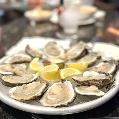 The Palace Station Oyster Bar by null