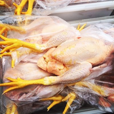 Browder’s Birds by null