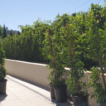 Green Valley Landscape and Design - Landscaping Near Me