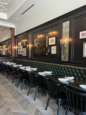 The Black Cat by null The Black Cat by null