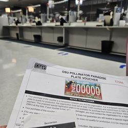 Department of Motor Vehicles - 12/8/2023 - Dropping into the Beaverton DMV to pickup my new pollinators plate.